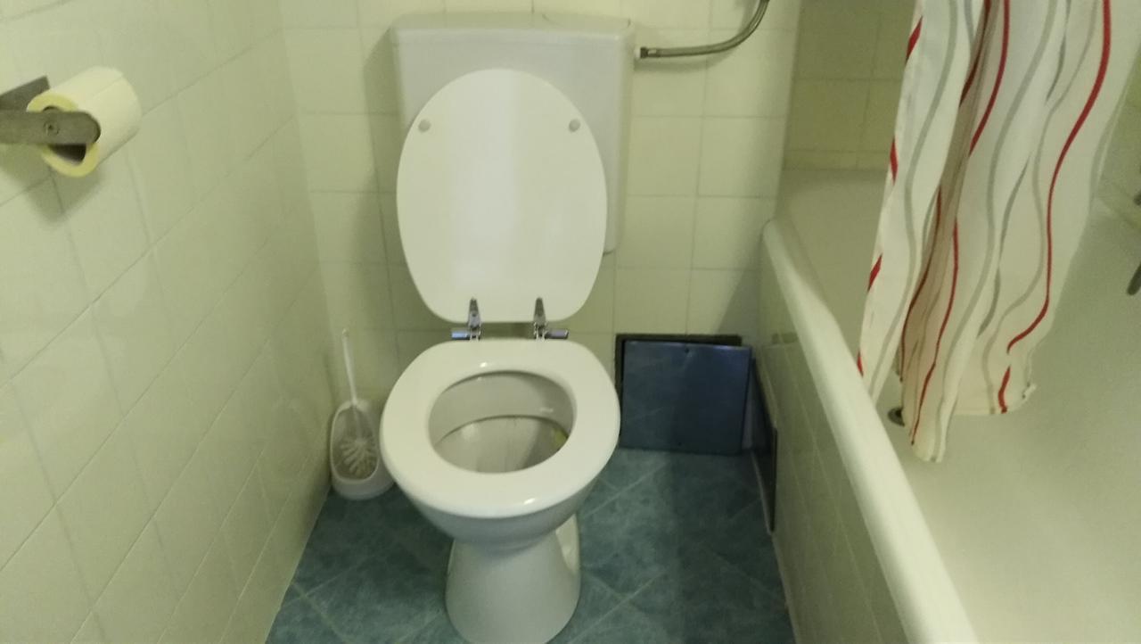 Happy Stay Apartment Bad Mitterndorf Bagian luar foto